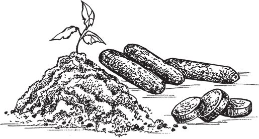 Сергей Кашин - Умное цветоводство круглый год на даче и дома