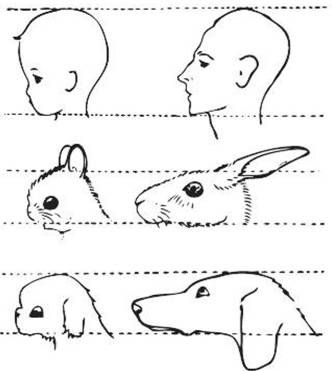 Марина Бутовская - Антропология пола