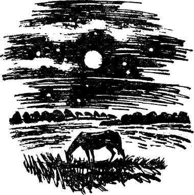 Игорь Бестужев-Лада, Анатолий Безуглов и др. - Отвага