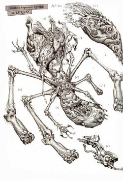 коллектив авторов - WH40K Флафф Библия Ксеносов
