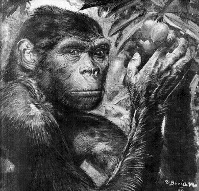 Николай Курчанов - Антропология и концепции биологии