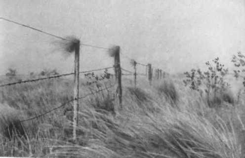 Иржи Ганзелка, Мирослав Зикмунд - Там, за рекою, - Аргентина