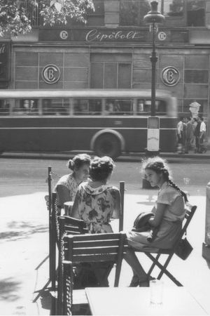 Анна Чайковская - Триумф красной герани. Книга о Будапеште