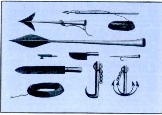 Жак-Ив Кусто, Филипп Диоле - Могучий властелин морей