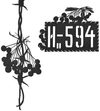 Анатолий Жигулин - Летящие дни