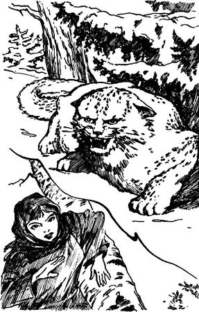 Елена Жаринова - Сестра звезды