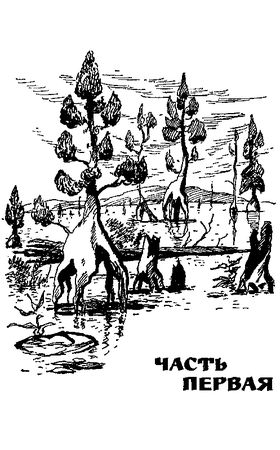 Мор Йокаи - Черные алмазы