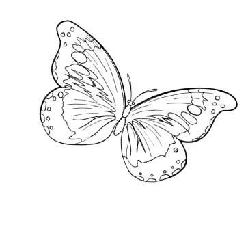 Александра Крючкова - Игра в Иную Реальность. Книга Знаний