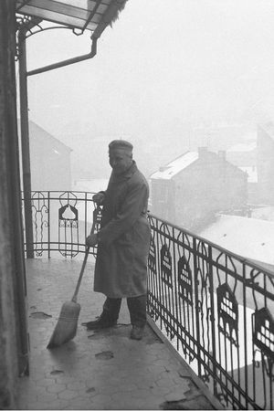 Анна Чайковская - Триумф красной герани. Книга о Будапеште