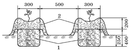 Сергей Кашин - Теплицы и парники
