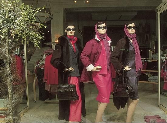 Эвелин Штриглер - Вена. Путеводитель