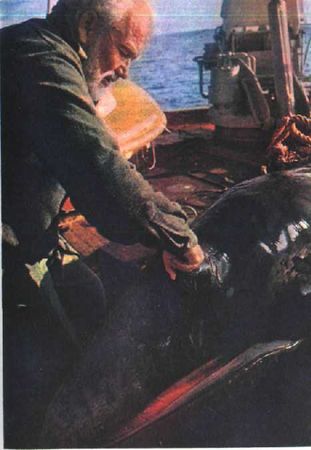 Жак-Ив Кусто, Филипп Диоле - Могучий властелин морей