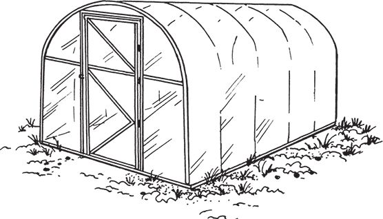 Сергей Кашин - Умное цветоводство круглый год на даче и дома