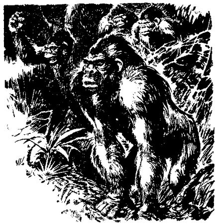 Жозеф Рони-старший - Борьба за огонь. Пещерный лев