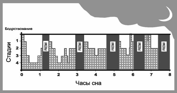 Андрей Курпатов - 10 рецептов хорошего сна