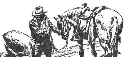 Роберт Говард - Хозяин Судьбы