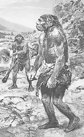 Николай Курчанов - Антропология и концепции биологии