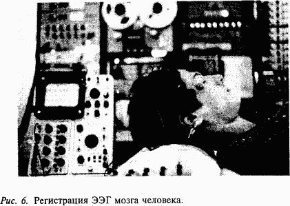 Валерий Шульговский - Основы нейрофизиологии