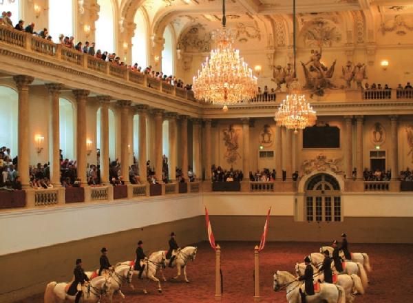 Эвелин Штриглер - Вена. Путеводитель