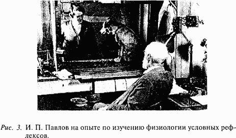 Валерий Шульговский - Основы нейрофизиологии