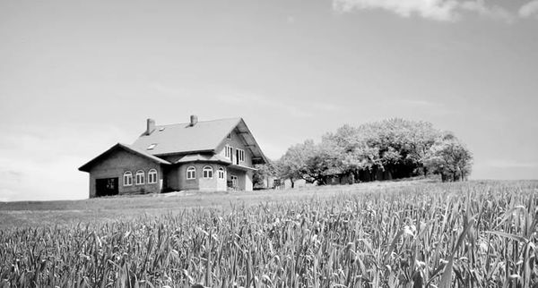 Евгений Симонов - Проектируем и строим дом сами