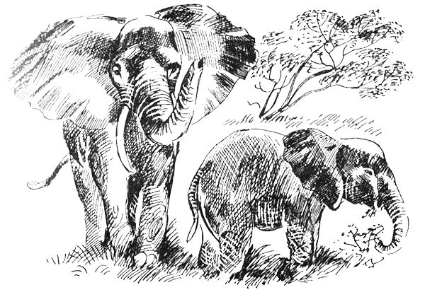 Джордж Майкл - Семья Майклов в Африке