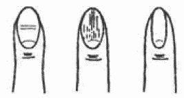 Покажи мне свою сумочку - и я скажу,...