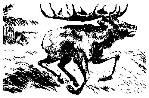 Жозеф Рони-старший - Борьба за огонь. Пещерный лев