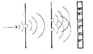 Тед Косматка - В свободном падении (сборник)
