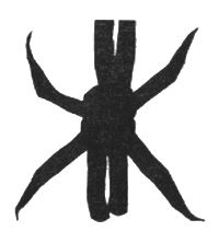 Анатолий Жигулин - Летящие дни