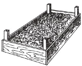 Светлана Чебаева - Богатый урожай овощей на вашем участке. В помощь любимым...