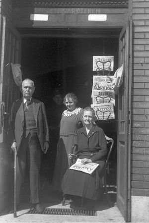 Анна Чайковская - Триумф красной герани. Книга о Будапеште