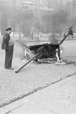 Анна Чайковская - Триумф красной герани. Книга о Будапеште