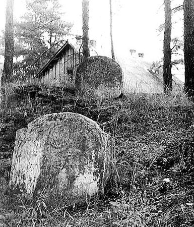 Сергей Глезеров - Петербургские окрестности. Быт и нравы начала ХХ века