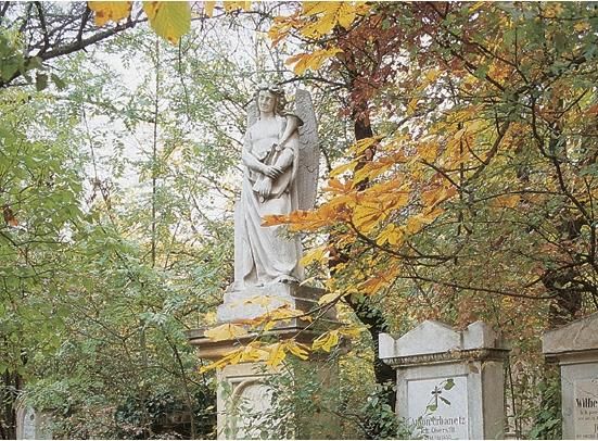 Эвелин Штриглер - Вена. Путеводитель