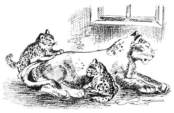 Джордж Майкл - Семья Майклов в Африке