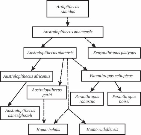 Николай Курчанов - Антропология и концепции биологии