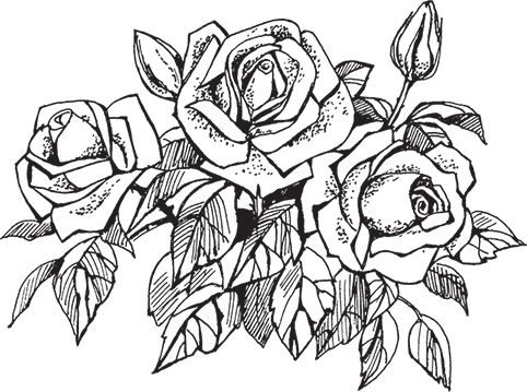 Сергей Кашин - Умное цветоводство круглый год на даче и дома