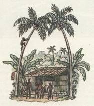 Николай Чуковский - Капитан Крузенштерн