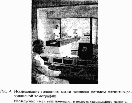 Валерий Шульговский - Основы нейрофизиологии