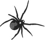 Цирк уродов