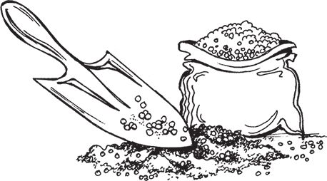 Сергей Кашин - Умное цветоводство круглый год на даче и дома