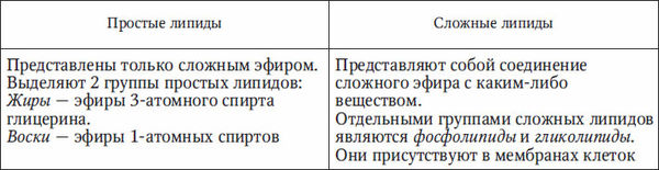 Николай Курчанов - Антропология и концепции биологии