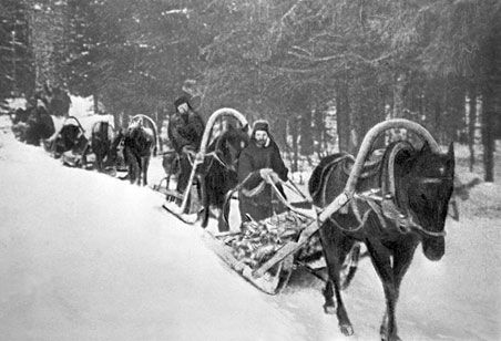 Владимир Побочный, Людмила Антонова - Ржевско-Вяземские бои (08.01-28.02.1942...