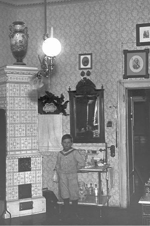 Анна Чайковская - Триумф красной герани. Книга о Будапеште