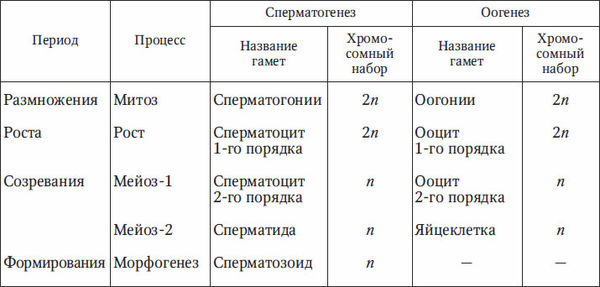 Николай Курчанов - Антропология и концепции биологии