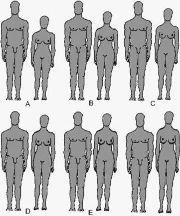 Марина Бутовская - Антропология пола