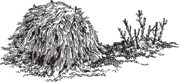 Сергей Кашин - Умное цветоводство круглый год на даче и дома