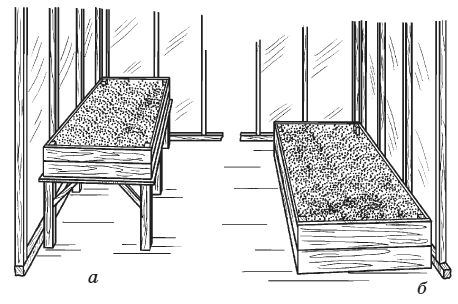 Сергей Кашин - Теплицы и парники