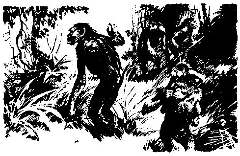 Жозеф Рони-старший - Борьба за огонь. Пещерный лев